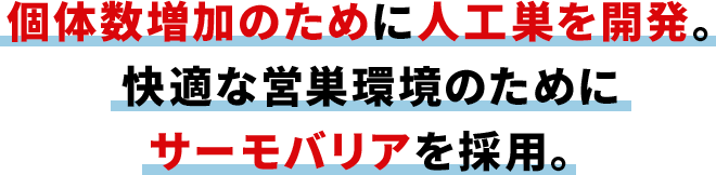 個体数増加のために人工巣を開発。 快適な営巣環境のためにサーモバリアを採用。